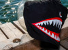 HI 5 shark